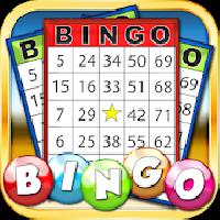 bingo: vegas and casino feel gameskip