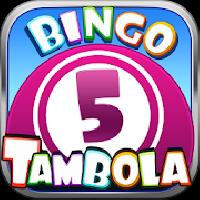 bingo - tambola twin games gameskip