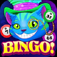 bingo wonderland gameskip