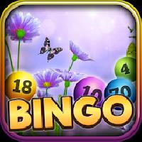 blitz bingo - may flowers gameskip