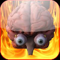 brain age game gameskip