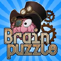 brain puzzle