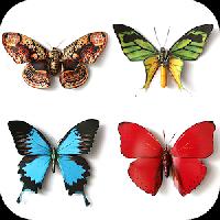 butterfly memory game