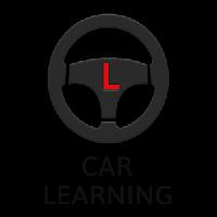 car learning gameskip