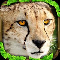 cheetah simulator
