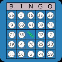 classic bingo touch gameskip