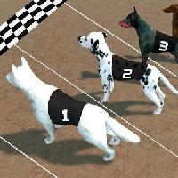 crazy dog racing gameskip