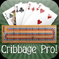 cribbage pro online gameskip