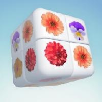 cube master: pair match game gameskip