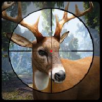 deer hunting 2017