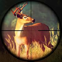 deer hunting 2018