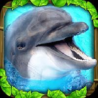dolphin simulator gameskip