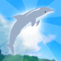 dolphin up gameskip