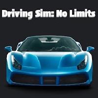 driving sim: no limits