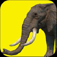 elephant games free gameskip