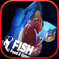 feed and grow shark fish gameskip