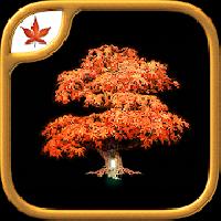fire maple games collection gameskip