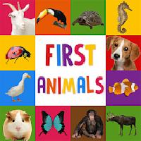 first words for baby: animals