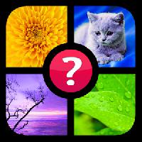 guess the word 4 pics 1 word gameskip