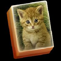 hidden mahjong cat tails: free kitten game