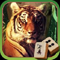 hidden mahjong: into the wild gameskip