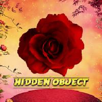 hidden object - briar rose gameskip
