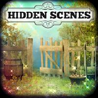 hidden scenes - country corner