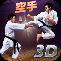 karate fighting tiger 3d