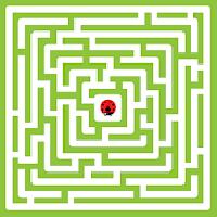 maze challenge gameskip