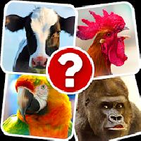 memory game: animals gameskip