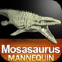 mosasaurus mannequin