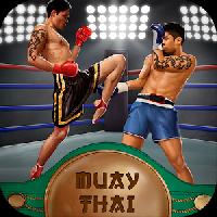 muay thai box fighting 3d