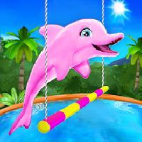 my dolphin show gameskip