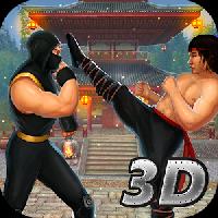 ninja kung fu fighting 3d  2 gameskip
