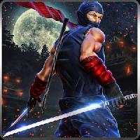 ninja war lord gameskip