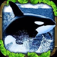 orca simulator gameskip