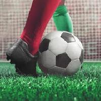 penalty kick: soccer football gameskip