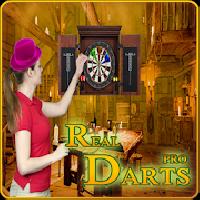 real darts pro