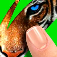 scratch: guess animal gameskip