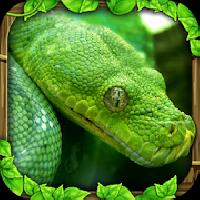 snake simulator gameskip
