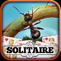 solitaire: ant farm gameskip