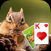 solitaire cute squirrel theme gameskip