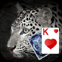 solitaire leopard theme gameskip