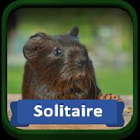 solitaire pets gameskip