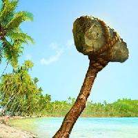 survival island pro gameskip