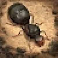 the ants: underground kingdom gameskip
