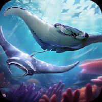 top fish: ocean game gameskip