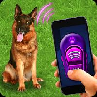 training dog clicker trinket gameskip