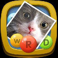 what's the word: 4 pics 1 word