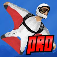 wingsuit pro gameskip